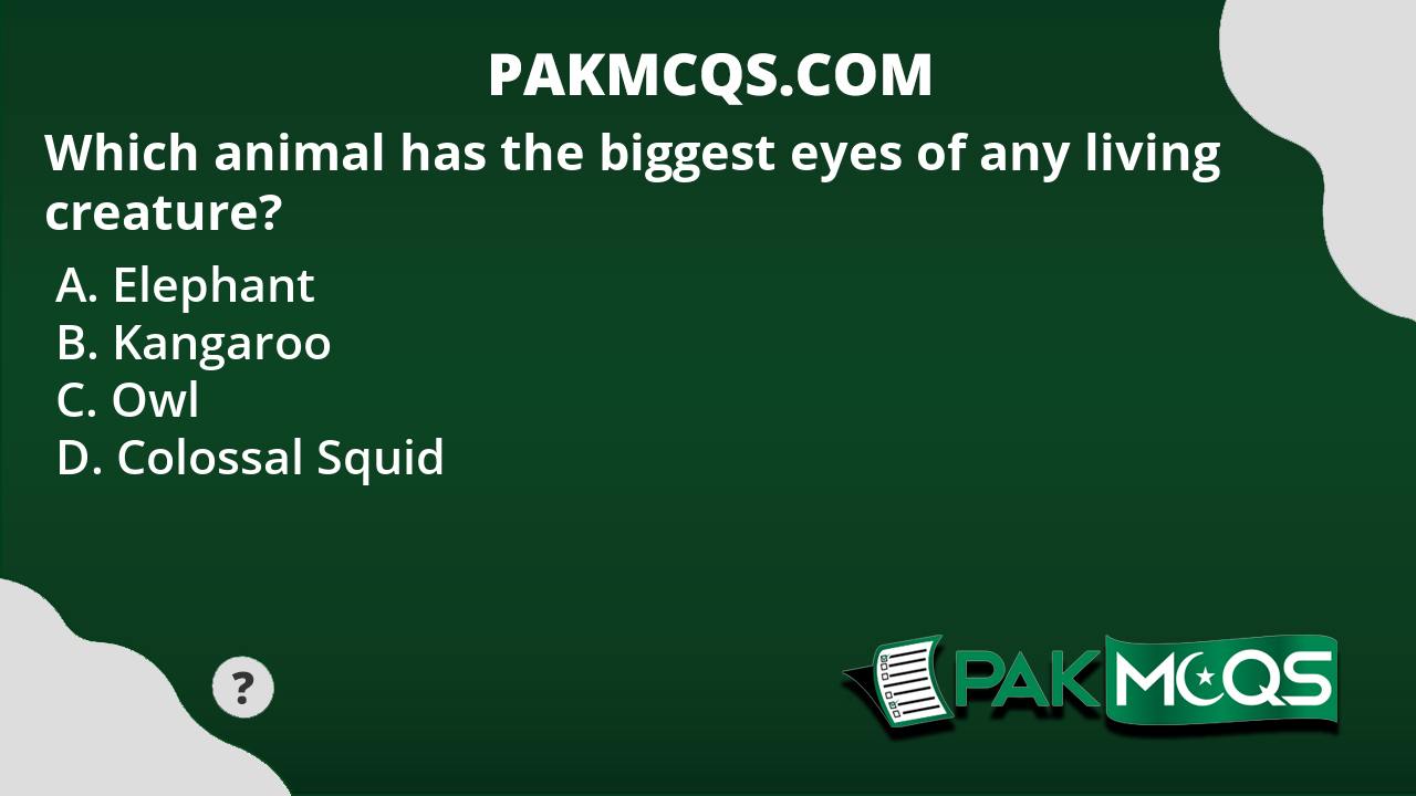 Which animal has the biggest eyes of any living creature? - PakMcqs