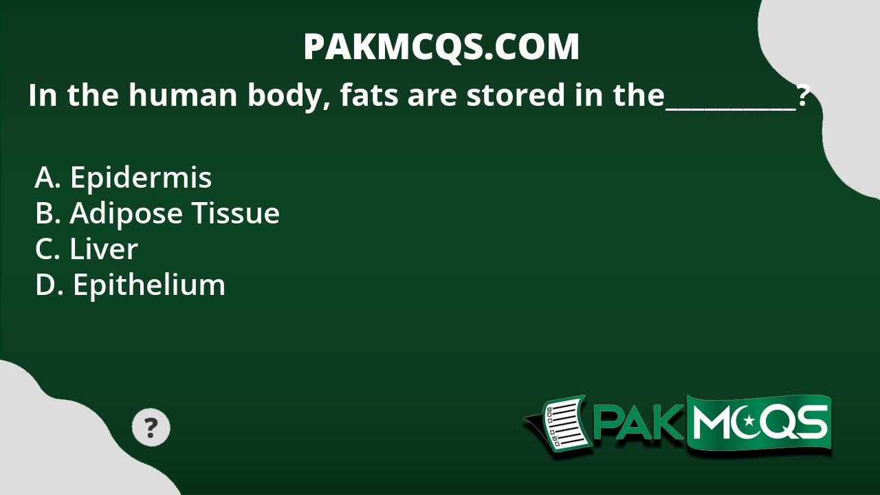 In the human body, fats are stored in the__________? - PakMcqs