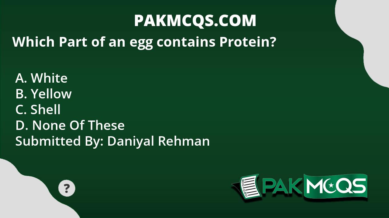  Part Egg Protein 