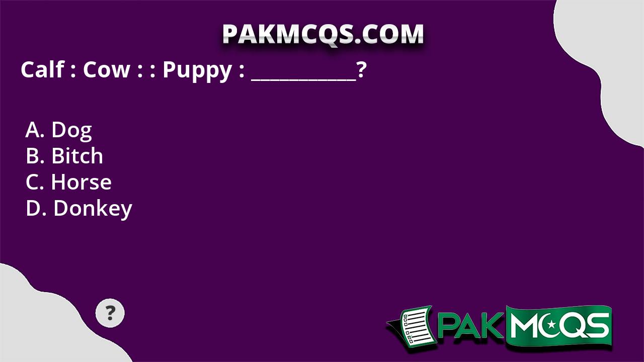 Calf : Cow : : Puppy : ___________? - PakMcqs