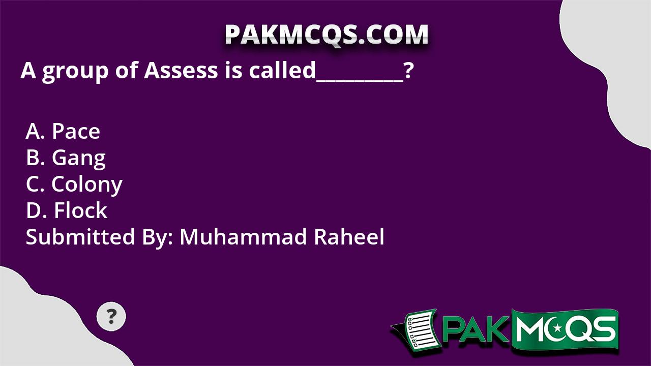 a-group-of-assess-is-called-pakmcqs