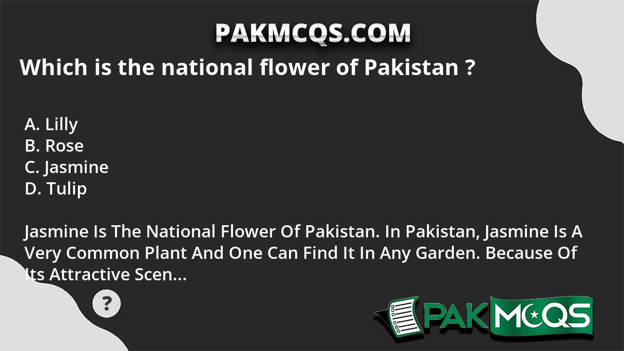  National Flower Pakistan  